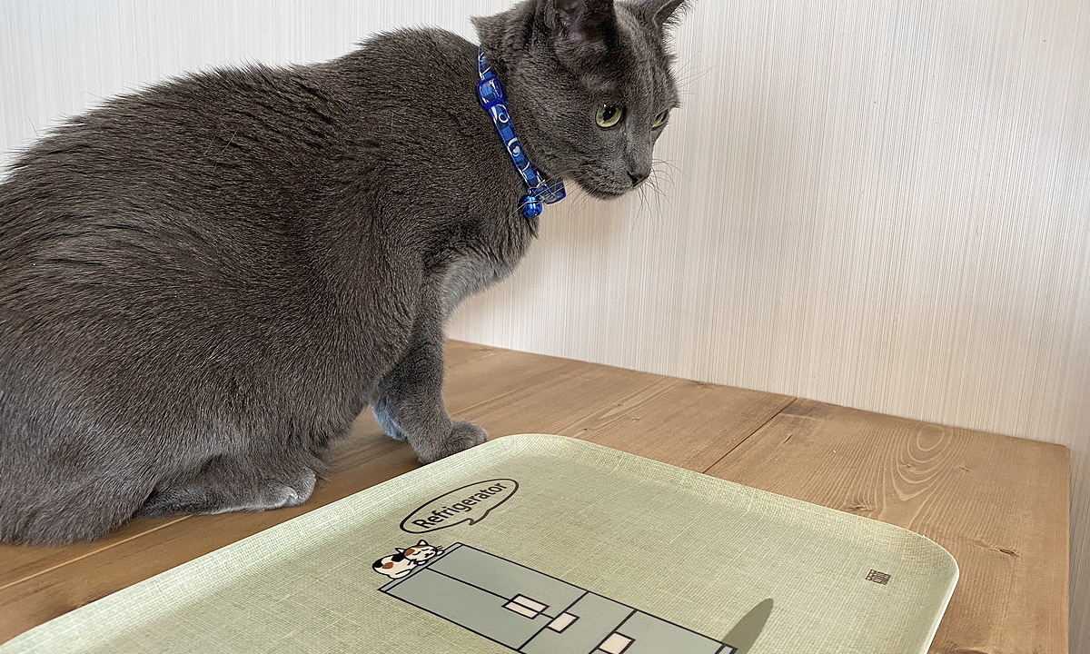 ネコダラ