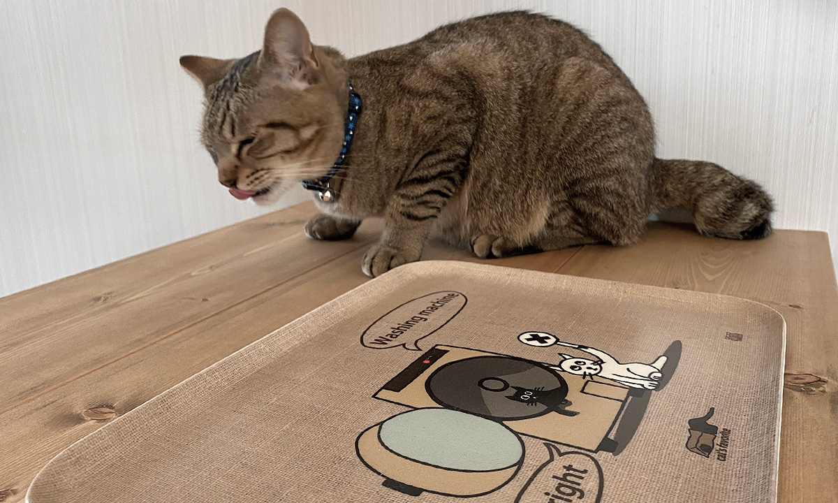 ネコダラ